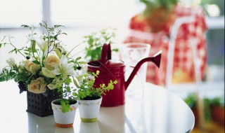 爱花的人心情短语 爱花的人心情短句有哪些