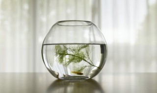 重阳节钓鱼最佳方法 重阳节过后钓鱼技巧怎样钓到？