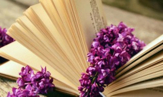 简单心情致自己 简短心情说说致自己