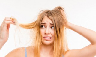 去头虱子最有效的方法 去头虱子最有效的方法简述