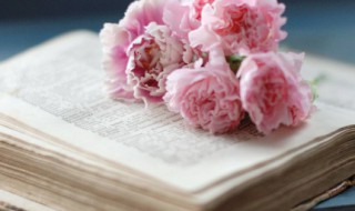 简短的赞美重庆的句子 描写重庆山城的句子