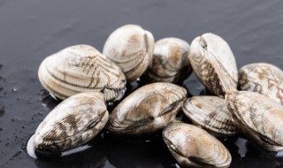 蛤蜊肉处理方法 蛤蜊肉处理方法简述