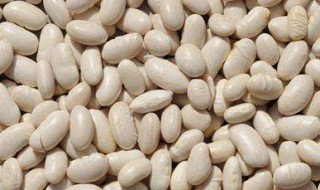 种白豆的方法 怎么种白豆