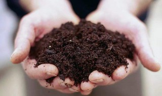 堆肥制作方法 如何自制家庭堆肥