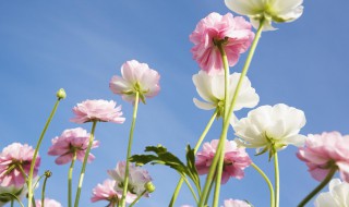 享受周末的心情短语 享受周末的心情短语有哪些