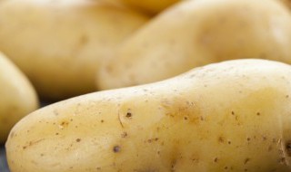 凉拌土豆能放多久 凉拌土豆能放多长时间