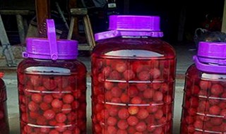 杨梅泡酒怎么做 杨梅泡酒做法