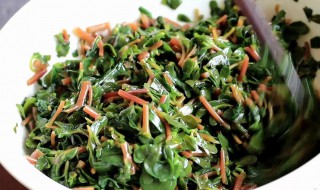 清炒马齿苋不焯水能吃吗 清炒马齿苋不焯水能不能吃