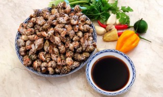 花螺煮熟能不能隔夜 吃花螺的注意事项