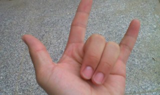 食指和小指坚起来是什么意思 食指和小指坚起来是啥意思