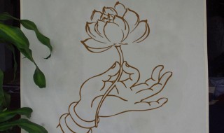 佛手莲花的寓意 佛手莲花的寓意是什么