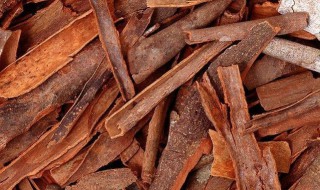 肉桂直接泡水喝吗 肉桂可以直接泡水吗