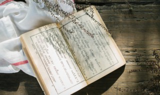 本是青灯不归客意思 本是青灯不归客含义