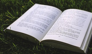 安详什么意思 安详解释