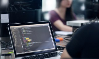 什么是数据元素请用自己的话描述 数据元素是什么