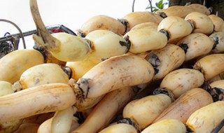 怎样储存脆藕 如何储存脆藕