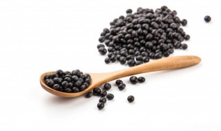 黑豆怎样储存才不坏 关于黑豆怎样储存才不坏