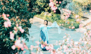 古风诗意短句 古风诗意短句是什么