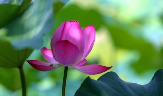 夏天提醒别人注意什么 夏天应注意防范事项