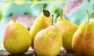 秋季防秋燥多吃苹果和梨 秋季防秋燥可以吃梨吗