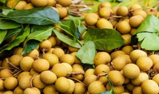 龙眼和桂圆有什么区别 桂圆龙眼的区别