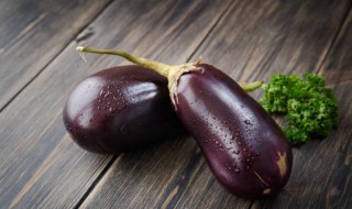 圆茄子的家常做法窍门 葱姜蒜烧茄子的做法