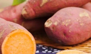 地瓜和红薯一样吗 地瓜和红薯是不是一样