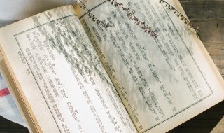 一波又起的上一句是什么 一波又起的上一句是哪个句子