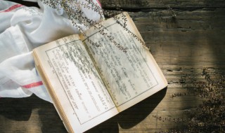 阿斗是谁 阿斗的简介