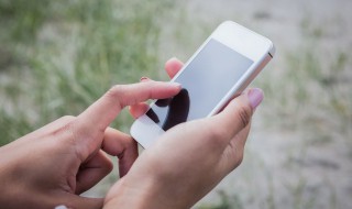 网络ls是什么意思 网络ls的意思