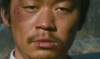 电影树先生表达的意思 电影树先生表达的意思是什么