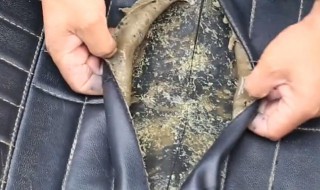 怎样清洗皮具霉迹 清洗皮具霉迹 的方法