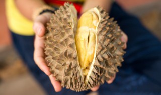 榴莲核的吃法大全 如何吃榴莲核