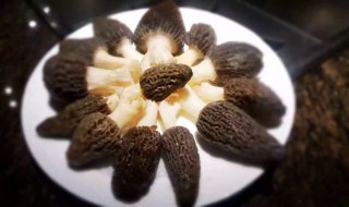 新鲜羊肚菌怎么洗才能干净 新鲜羊肚菌如何洗干净