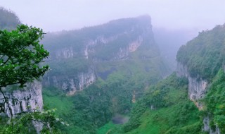 山重水复疑无路下一句是什么 山重水复疑无路的出处