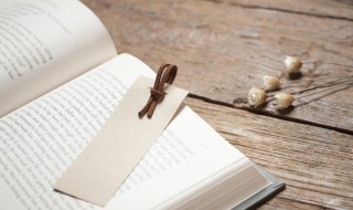 胜日寻芳泗水滨的下一句是什么 胜日寻芳泗水滨原文及翻译