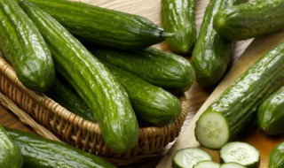 地黄瓜的做法大全 最全黄瓜做法介绍