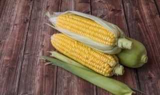 玉米可以放多久 玉米能存放的时间