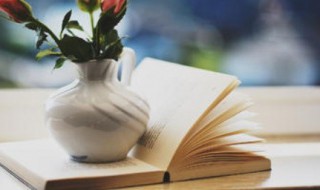 阿组词有哪些 阿的组词有什么