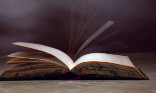 阿字组词有哪些词语 阿字怎么组词