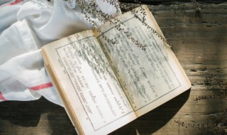 世界上没有两片完全相同的树叶这句话包含了什么哲学道理 没两片相同的树叶含的道理