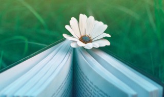 纸上谈兵什么意思 纸上谈兵解释