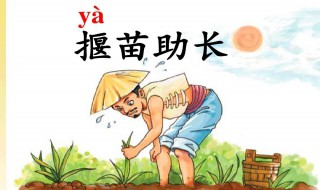 拔苗助长的道理是什么 揠苗助长是什么道理