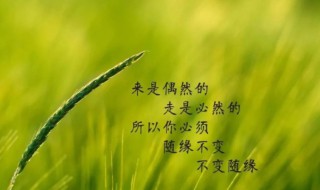 名人名言短句8字 优秀名言短句