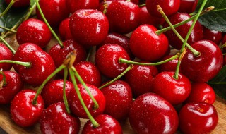 车厘子是什么季节的水果 车厘子在哪个季节