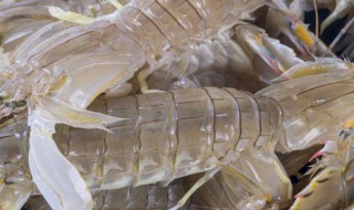 爬虾肉不成形是为什么 爬虾肉不成形的原因