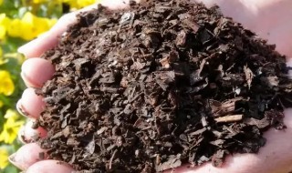 营养土可以直接种花吗 营养土能不能直接种花