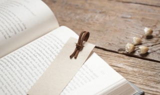 喜欢反义词 喜欢的意思