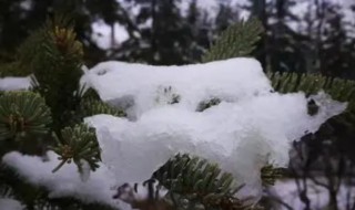 冬温夏清的意思 冬温夏清简单释义