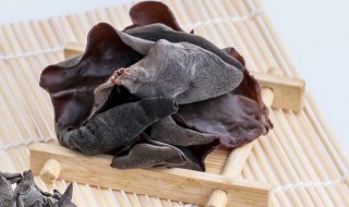 木耳和蘑菇能一起吃吗 木耳和蘑菇能不能一起吃